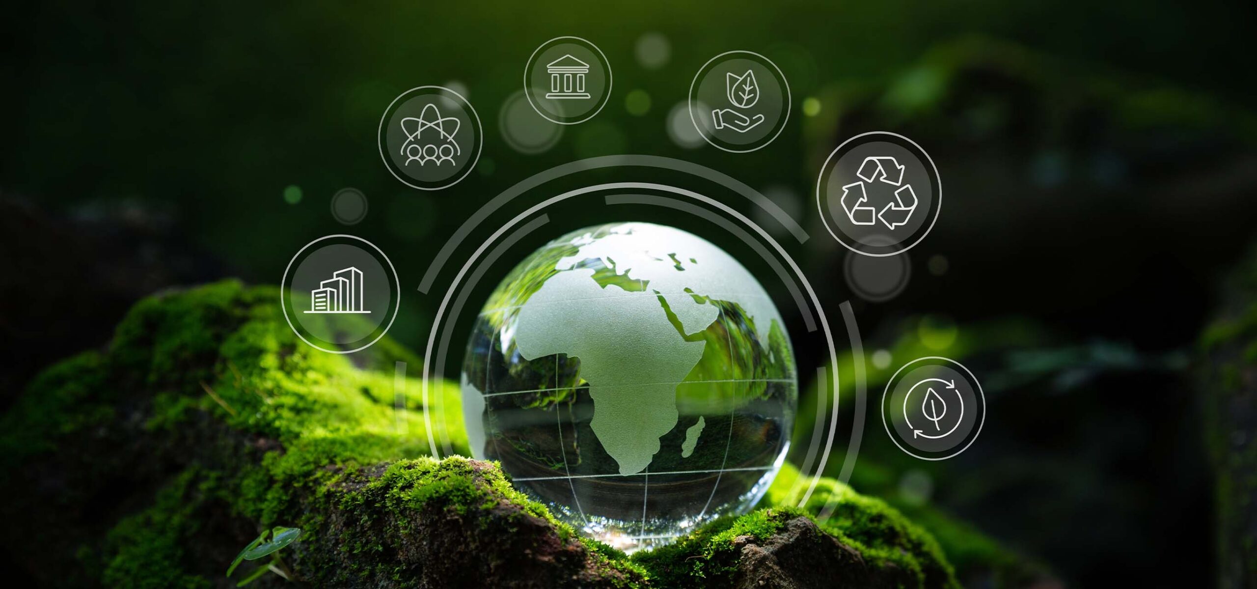 Focus on Sustainability